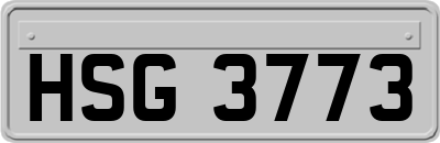 HSG3773