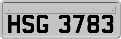 HSG3783