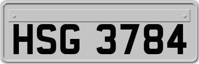 HSG3784
