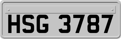 HSG3787