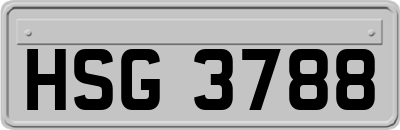 HSG3788