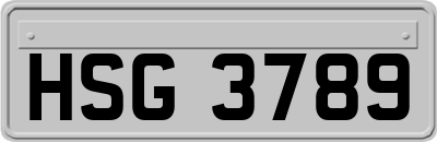 HSG3789