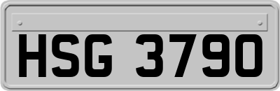 HSG3790