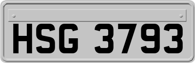 HSG3793