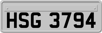 HSG3794