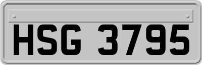 HSG3795