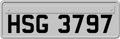 HSG3797