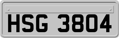 HSG3804