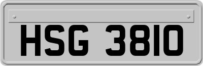 HSG3810