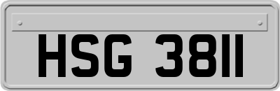 HSG3811