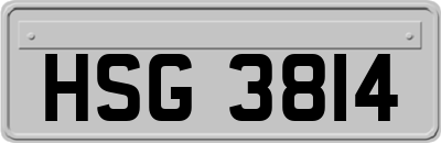 HSG3814