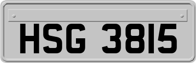 HSG3815