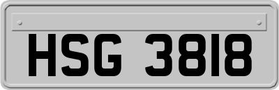 HSG3818