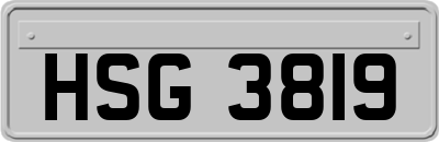 HSG3819