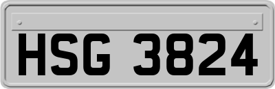 HSG3824