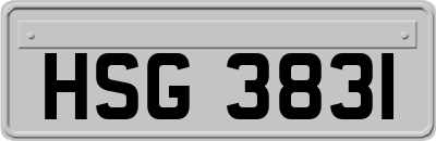 HSG3831