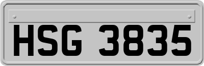 HSG3835