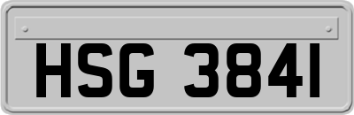 HSG3841