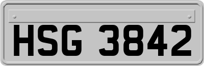 HSG3842