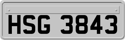 HSG3843