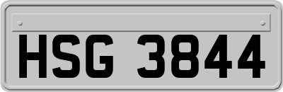 HSG3844