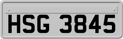 HSG3845