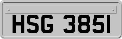 HSG3851