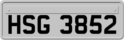 HSG3852