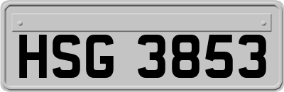 HSG3853