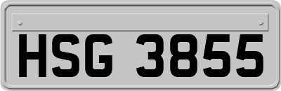 HSG3855