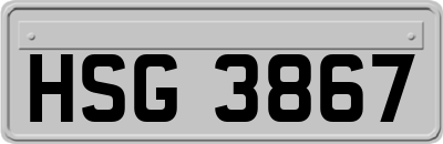 HSG3867
