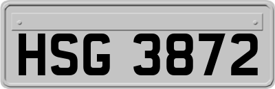 HSG3872