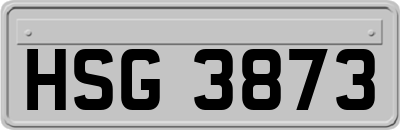 HSG3873