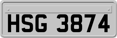 HSG3874