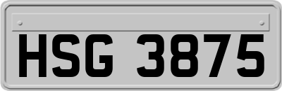 HSG3875