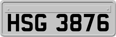 HSG3876