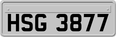 HSG3877