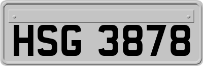 HSG3878