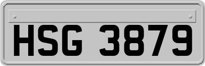 HSG3879