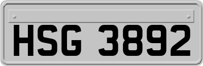 HSG3892