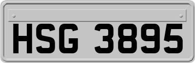 HSG3895