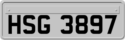 HSG3897