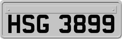 HSG3899