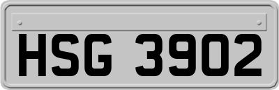HSG3902