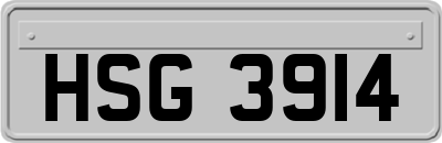 HSG3914