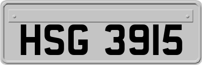 HSG3915