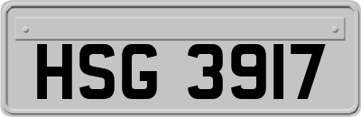 HSG3917