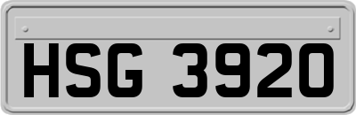 HSG3920