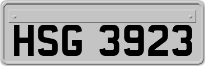 HSG3923