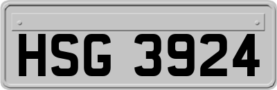 HSG3924